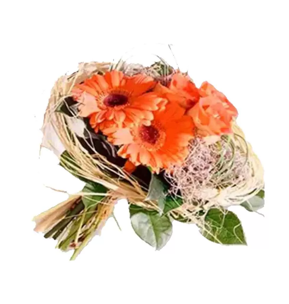 Trawling With Gerberas